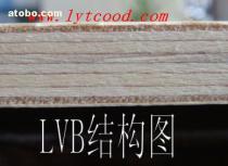 LVB木板 規格、價格與選購指南
